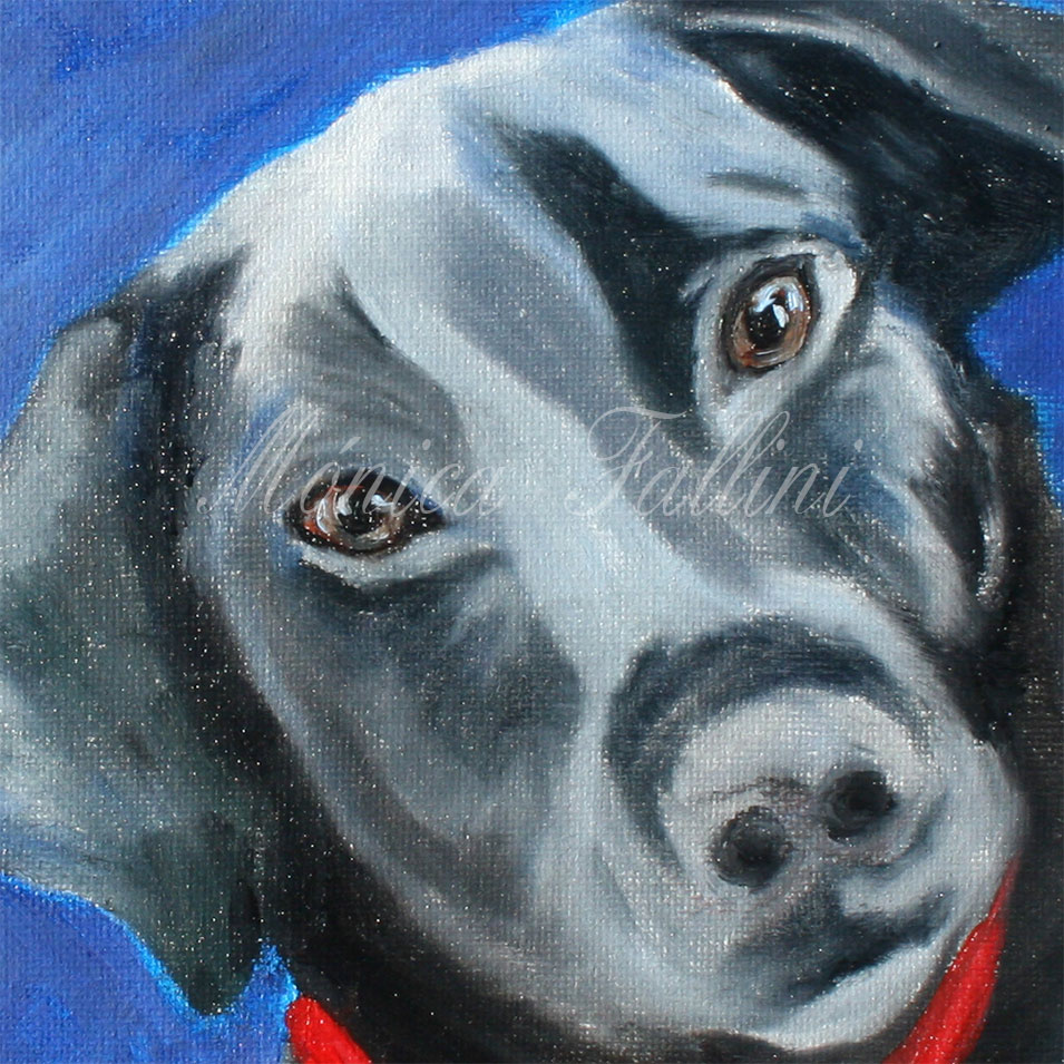 Painting titled 'Curious Pancho.' by Monica Fallini