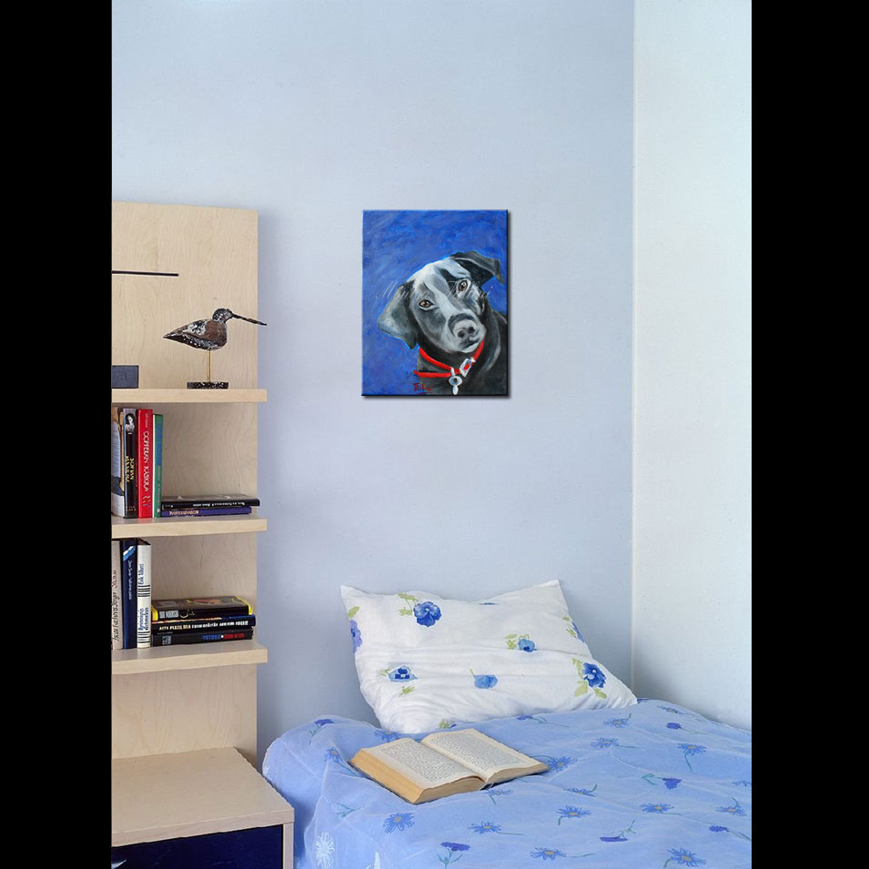 Painting titled 'Curious Pancho.' by Monica Fallini