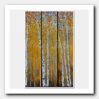 In the Aspen forest