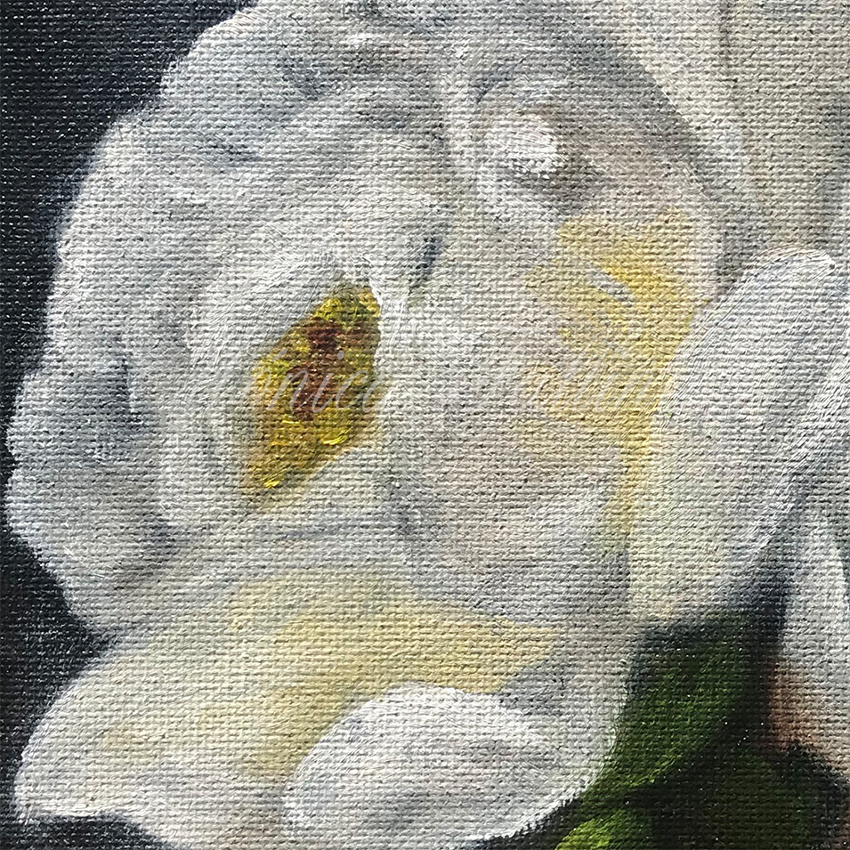 Painting titled 'Floral study' by Monica Fallini
