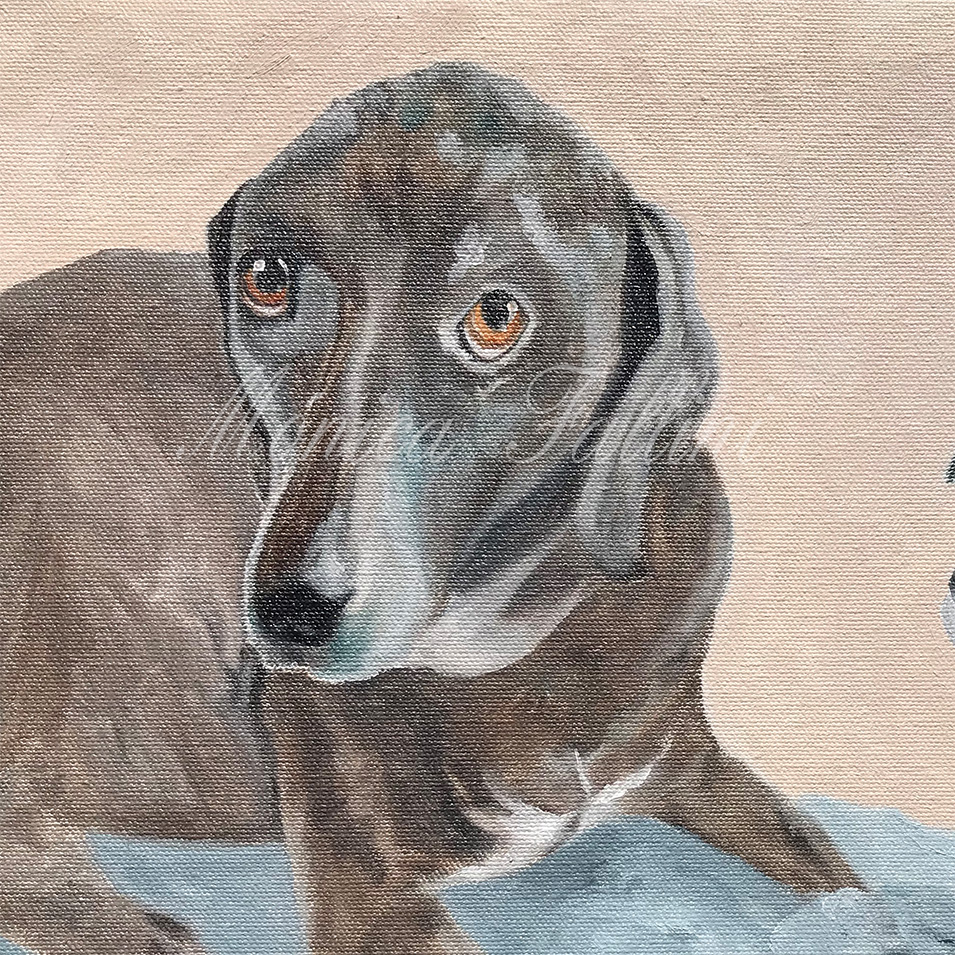 Painting titled 'Two dogs portrait commission' by Monica Fallini