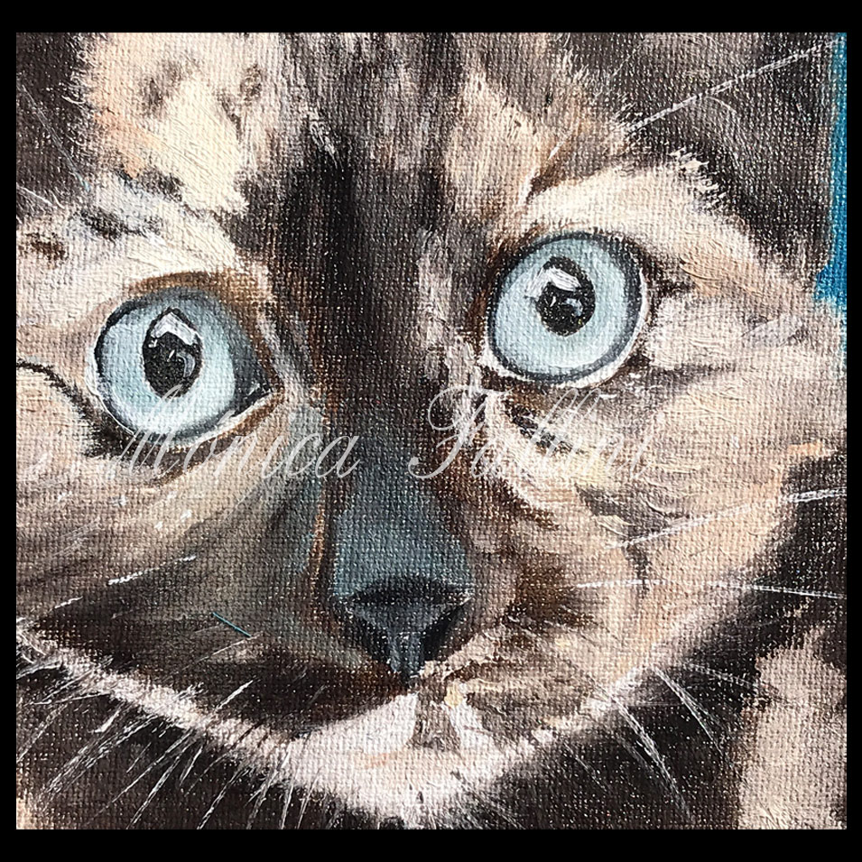 Painting titled 'Portrait of Tortoiseshell cat.' by Monica Fallini