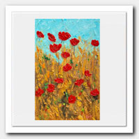 Wild garden of Poppies.