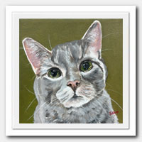Cat portrait.