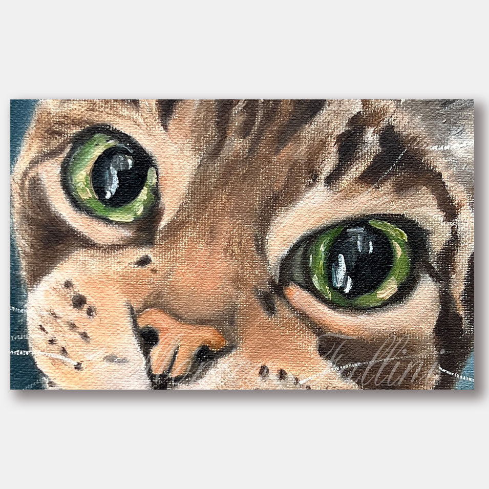 Painting titled 'Cat portrait.' by Monica Fallini