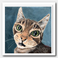 Cat portrait.