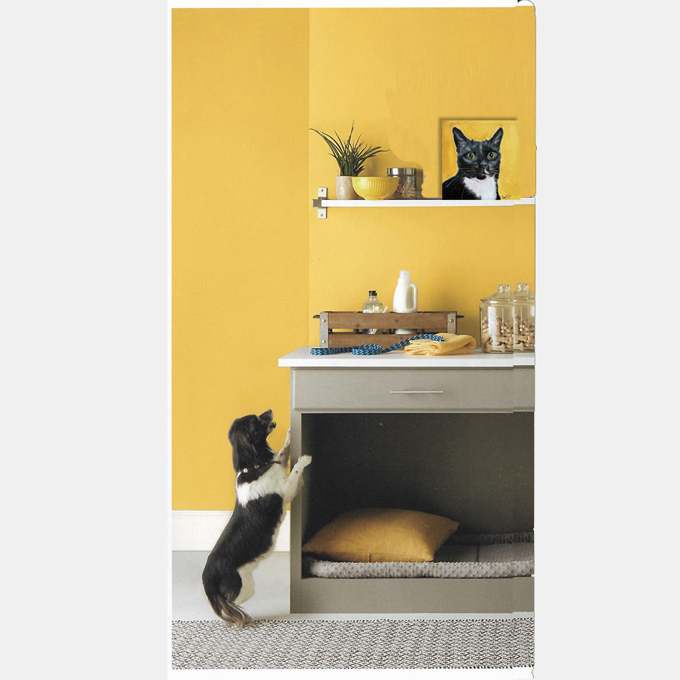 Painting titled 'Cat portrait.' by Monica Fallini