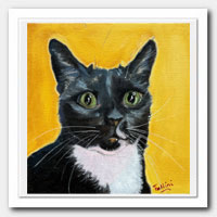 Cat portrait.
