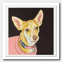 Dog Portrait