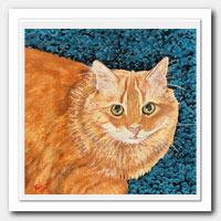 Orange cat portrait.