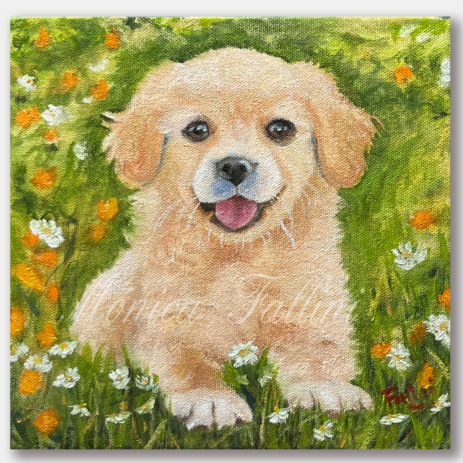 Puppy in the garden.