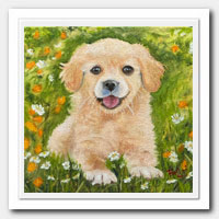 Puppy in the garden.