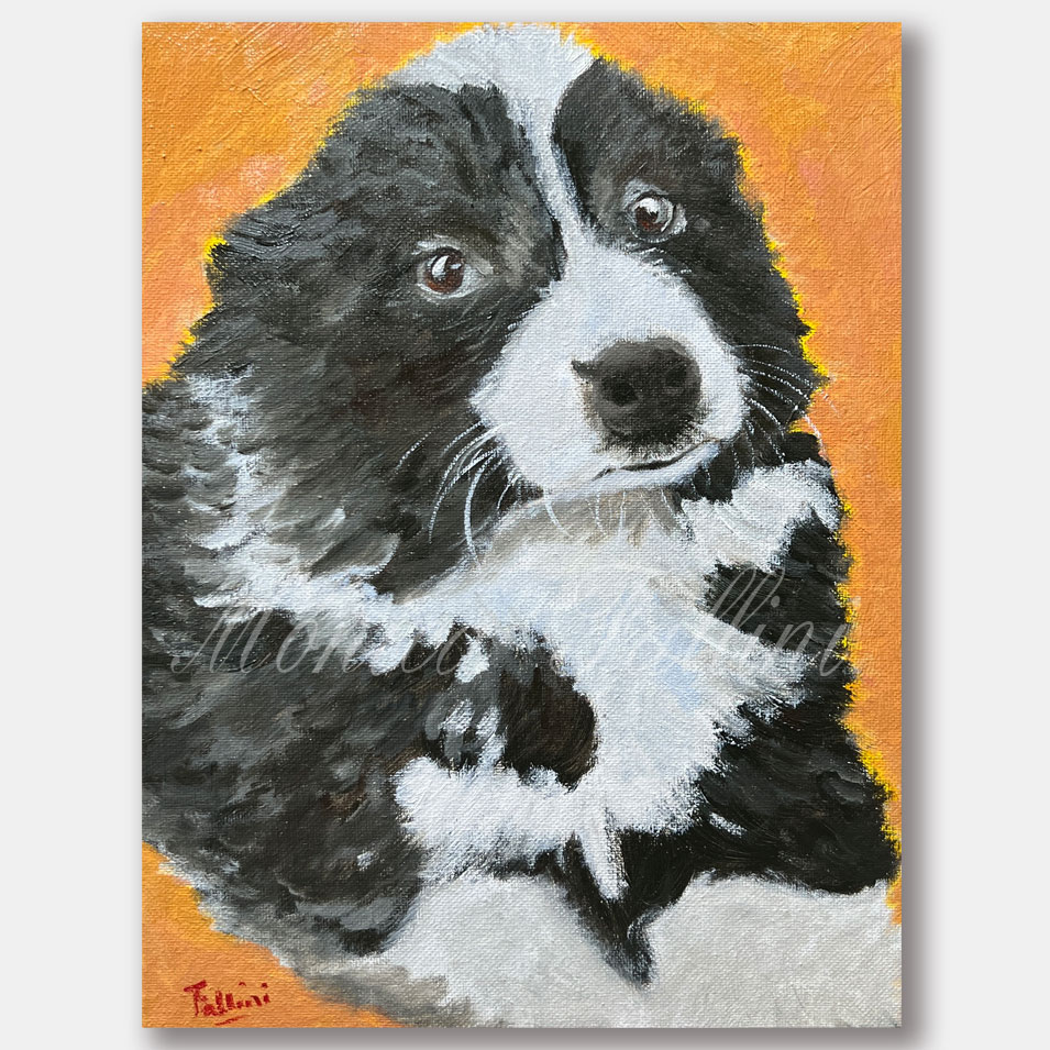 Fluffy in Black & White