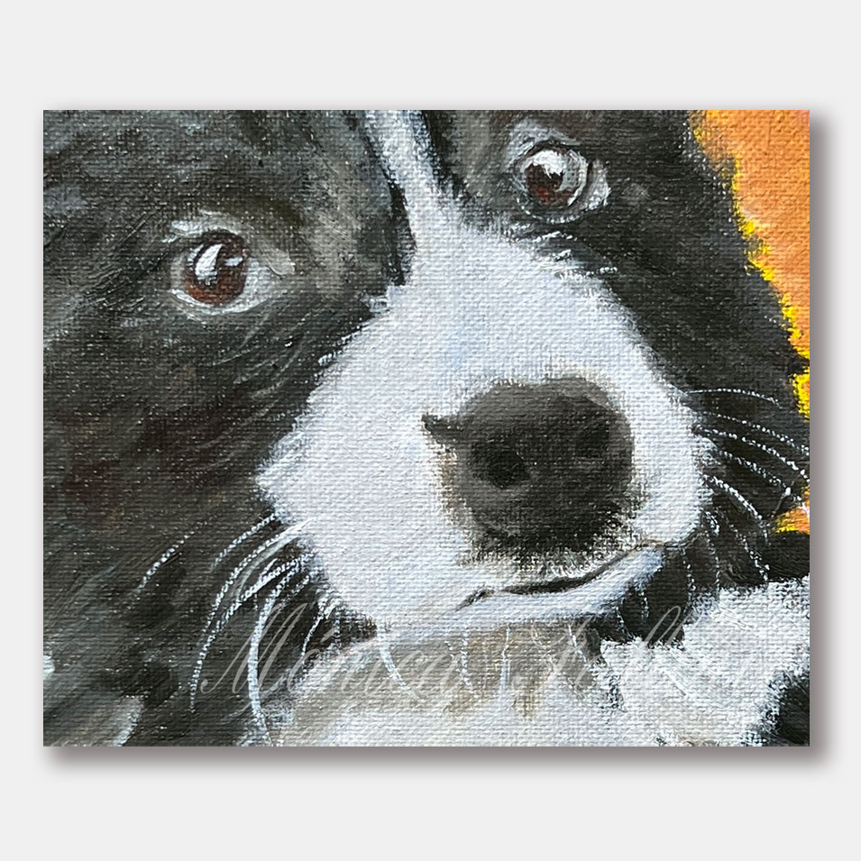 Painting titled 'Fluffy in Black & White' by Monica Fallini