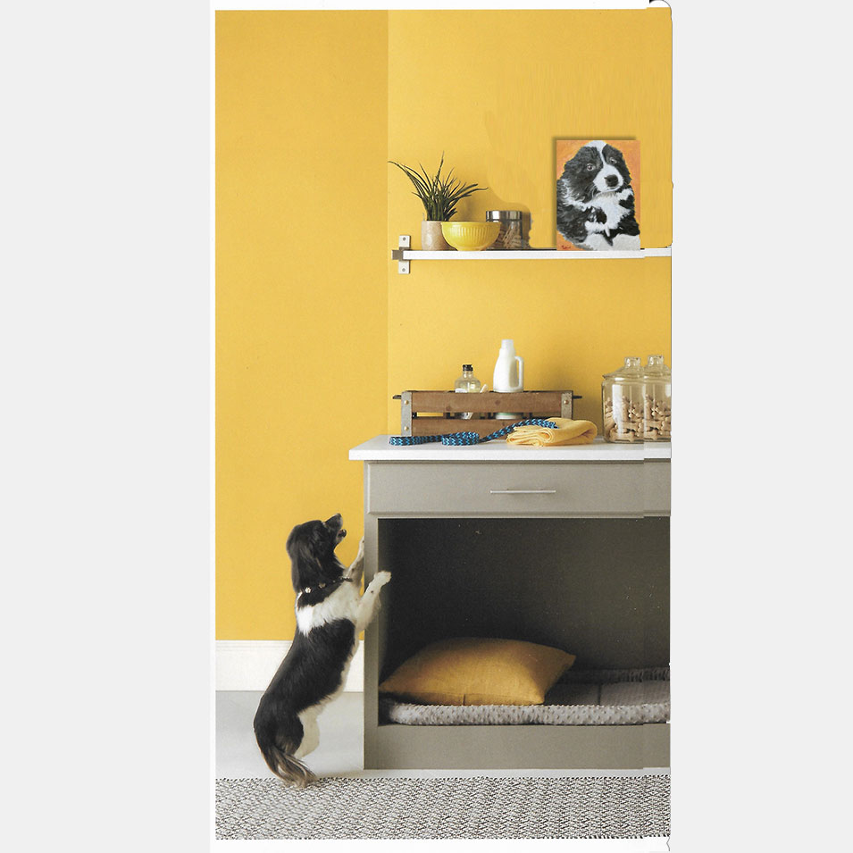 Painting titled 'Fluffy in Black & White' by Monica Fallini