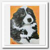 Fluffy in Black & White