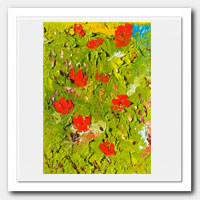 Poppies in the garden.