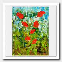 Poppies in the garden.