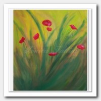Red Poppies and tall weeds.