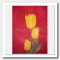 Yellow Tulips waiting for you.