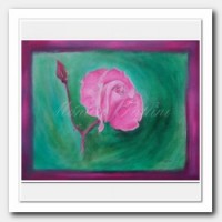 Framed pink Rose