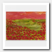Sunset and red poppies