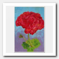 Red Geranium