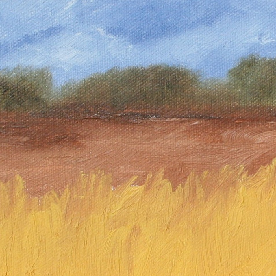 Painting titled 'Daily landscape' by Monica Fallini