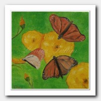 A dream of butterflies