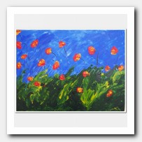 California poppies