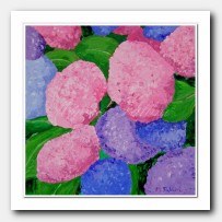 A dream of Hydrangeas 2