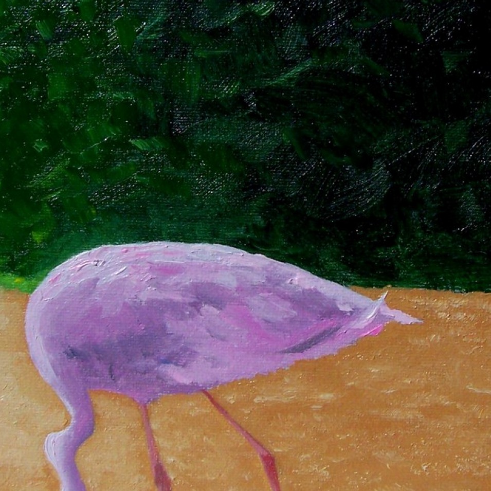 Painting titled 'Study in oils of a Flamingo' by Monica Fallini