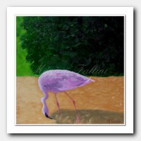 Study in oils of a Flamingo