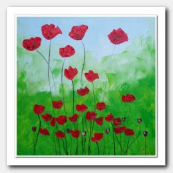 A garden of Poppies dream