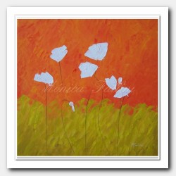 White Poppies and orange sky