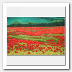 Field of red Poppies