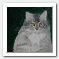 Untitled. Cat portrait