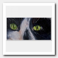 Cats eyes series IV