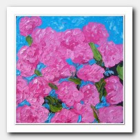 Pink Hydrangeas