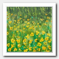 Texas wild flowers I