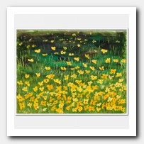 Texas wild flowers II