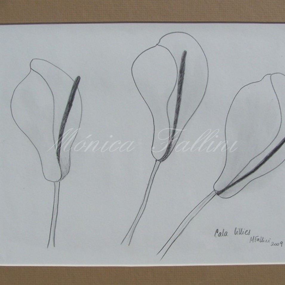 Painting titled 'Calla Lilies Study I' by Monica Fallini