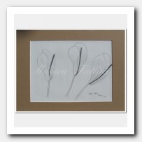 Calla Lilies Study I