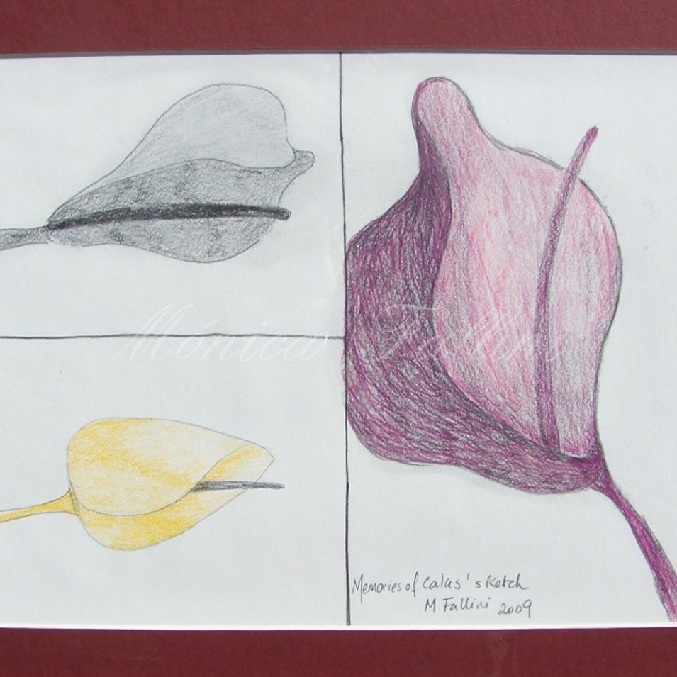 Painting titled 'Calla Lilies Study II' by Monica Fallini