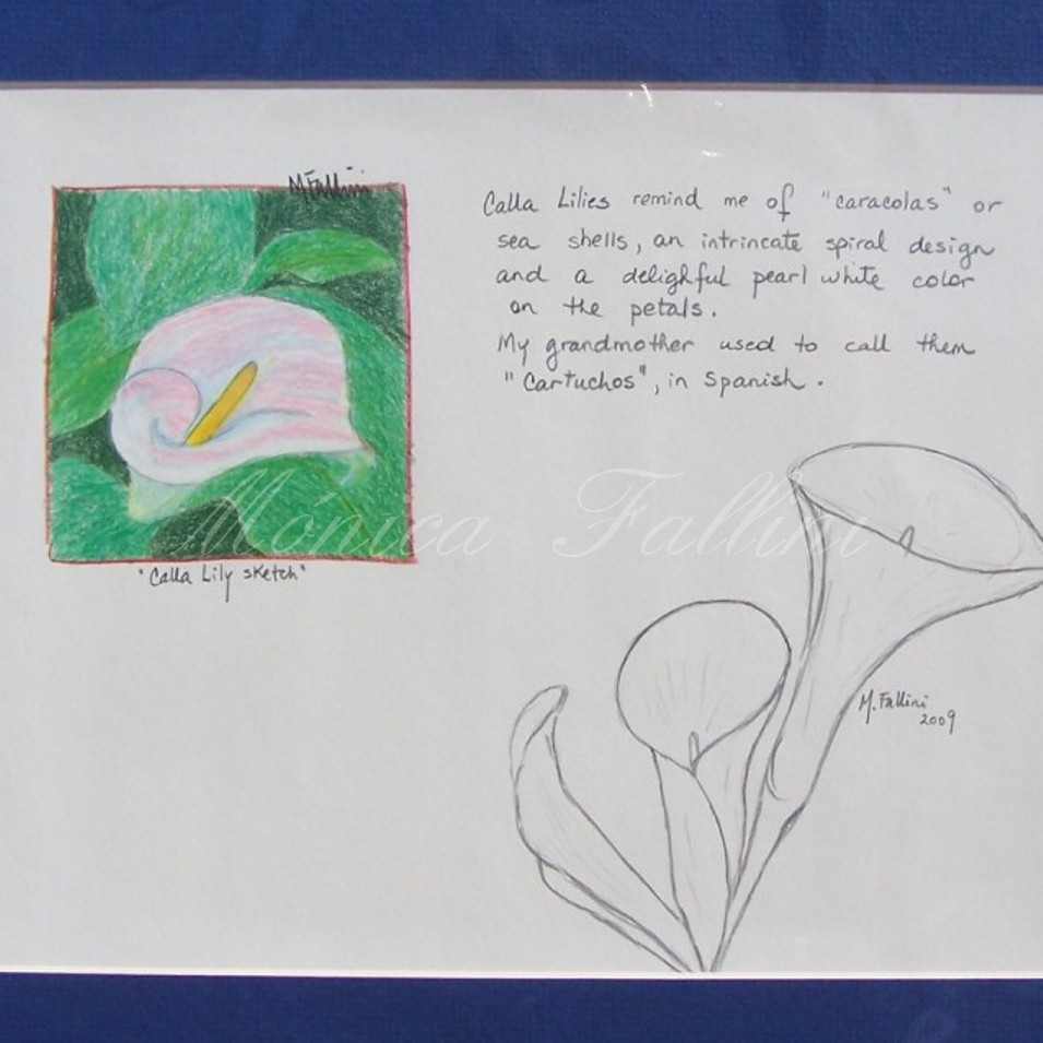 Painting titled 'Calla Lilies Study IV' by Monica Fallini
