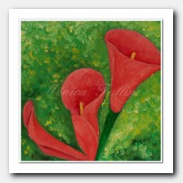 3 Calla Lilies