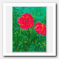 Two red poppies