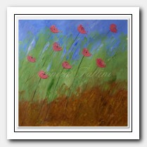 Pink Poppies on a windy day
